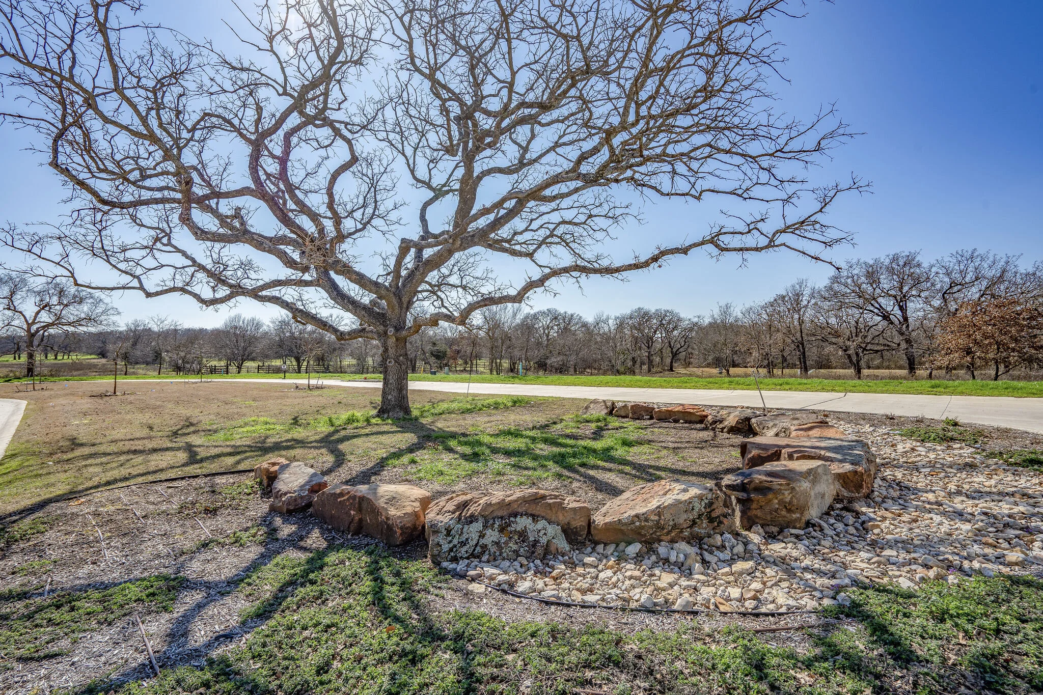 Saddleback Ridge Estates community view